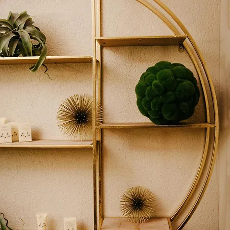 Hotel Vista Lakefront Boutique 3*